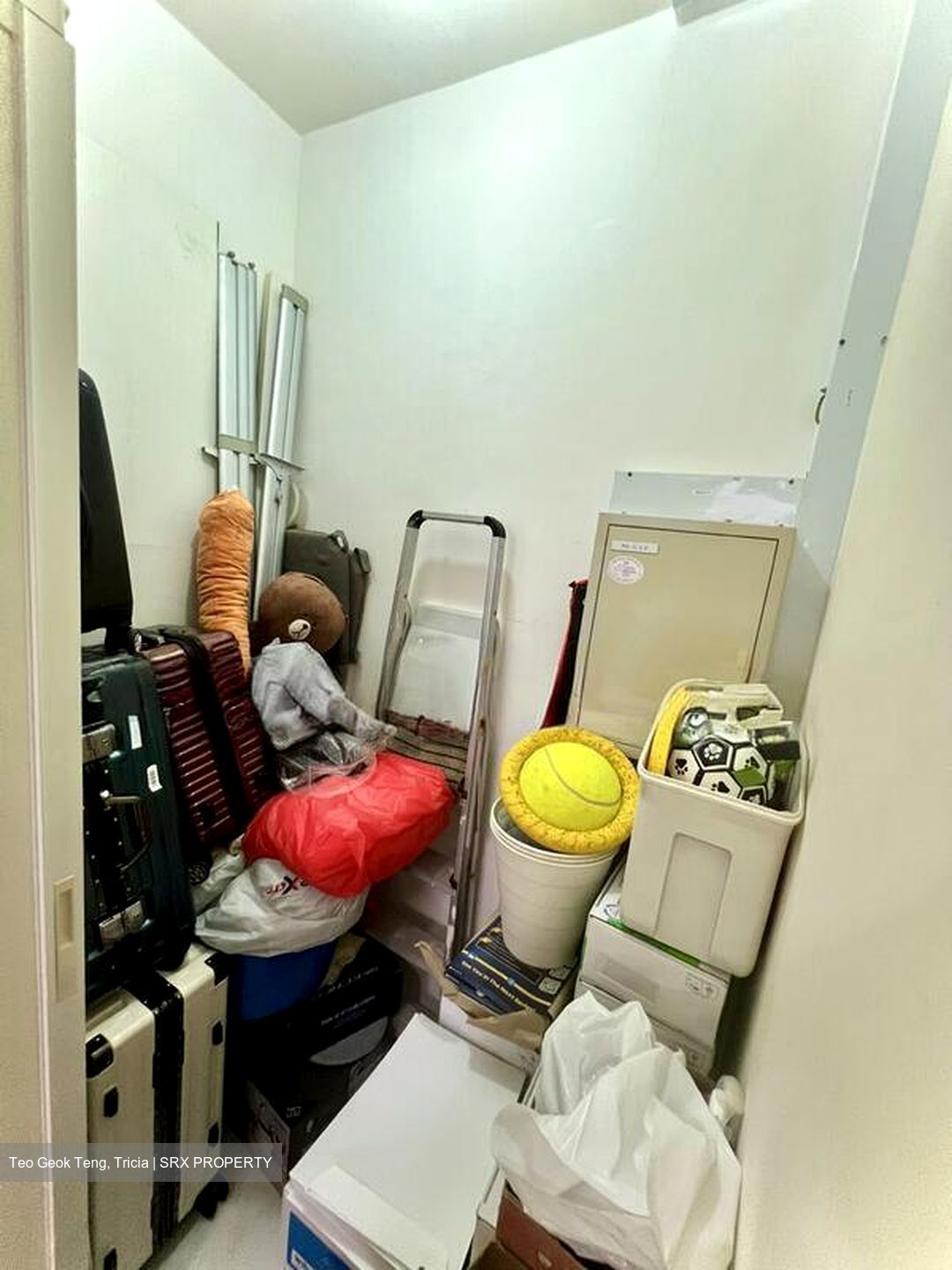 Centro Residences (D20), Condominium #503801011